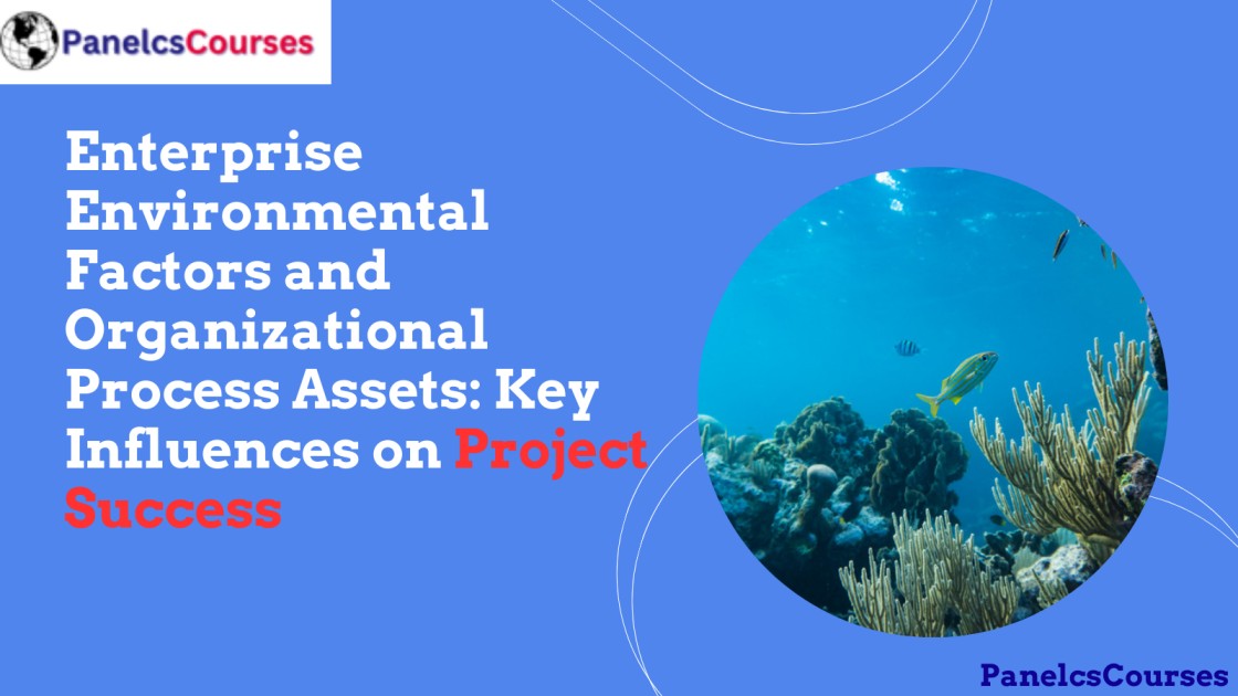 Enterprise Environmental Factors and Organizational Process Assets Key Influences on Project Success